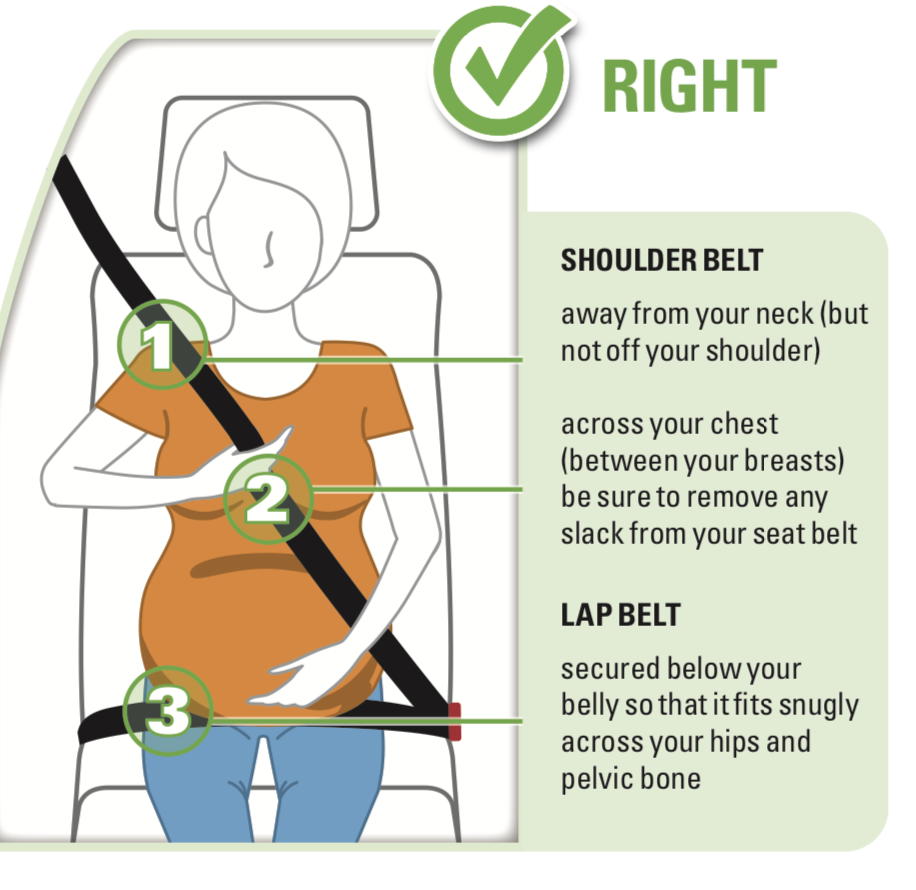 Expecting Moms And Seat Belts | Pediatric Trauma Injury Prevention Program